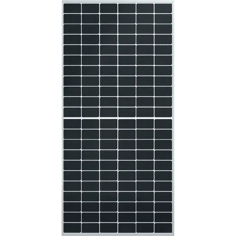 Module PV DMEGC Série Infinity RT - DM630G12RT-B66HSW - 630 Wc - Bifacial NType Topcon